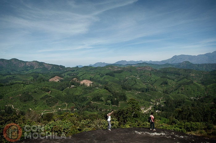 Cambio de paisaje