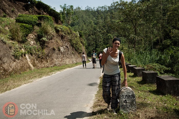 De vuelta a Munnar