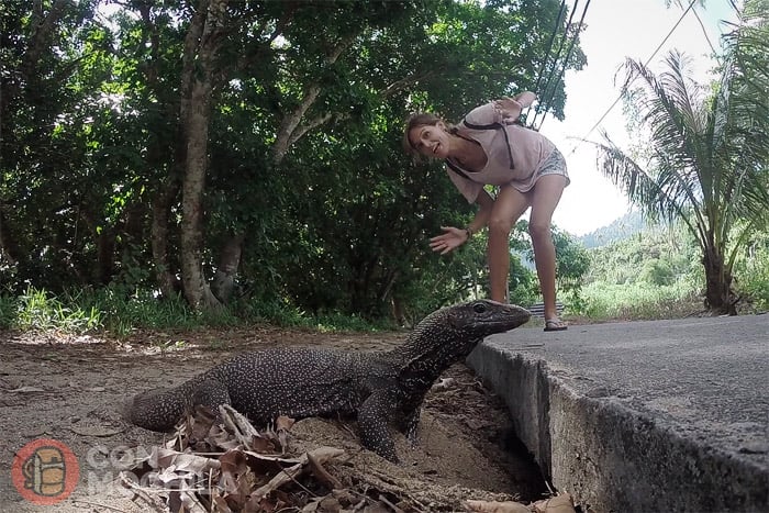 Haciendo amigos en Tioman