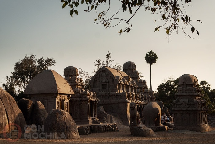 Cindo rathas