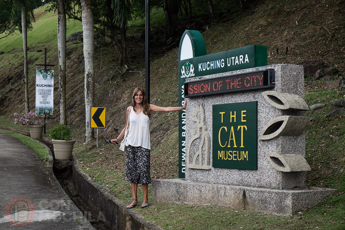 Llegando al museo de los gatos
