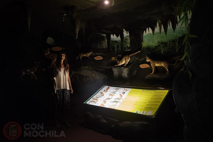 El interior de la cueva