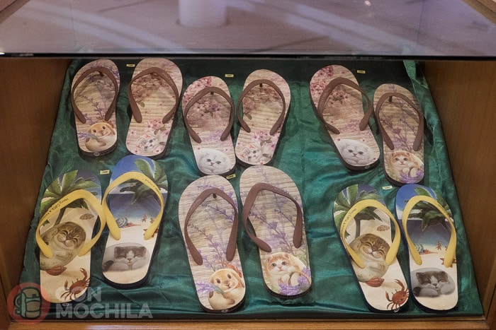 ¡¡Chanclas!! 