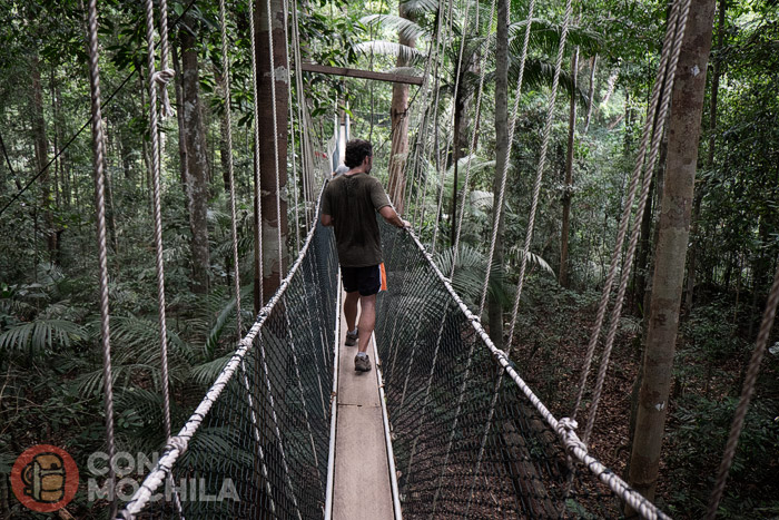 Toni on a bridge
