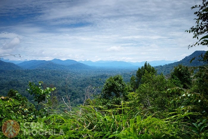 Views from one of the viewing points