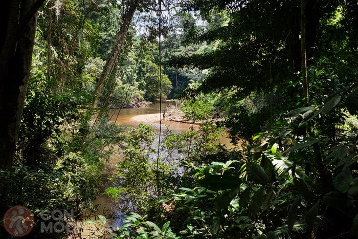 River views