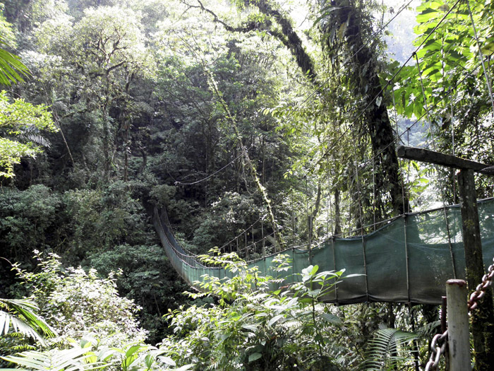 Arenal