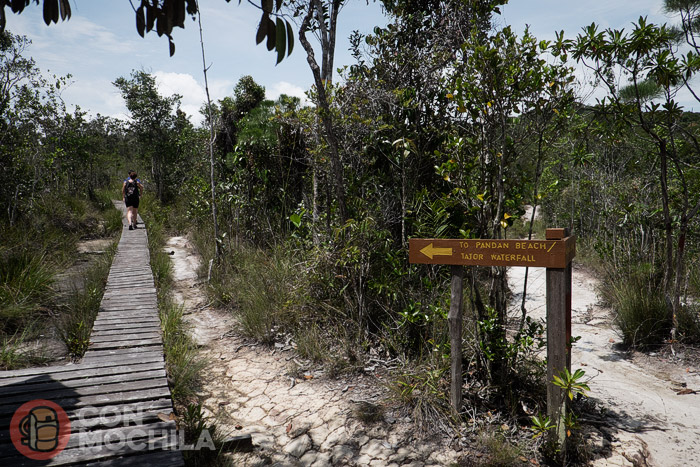 Pasarelas y señales para hacer la excursión más sencilla
