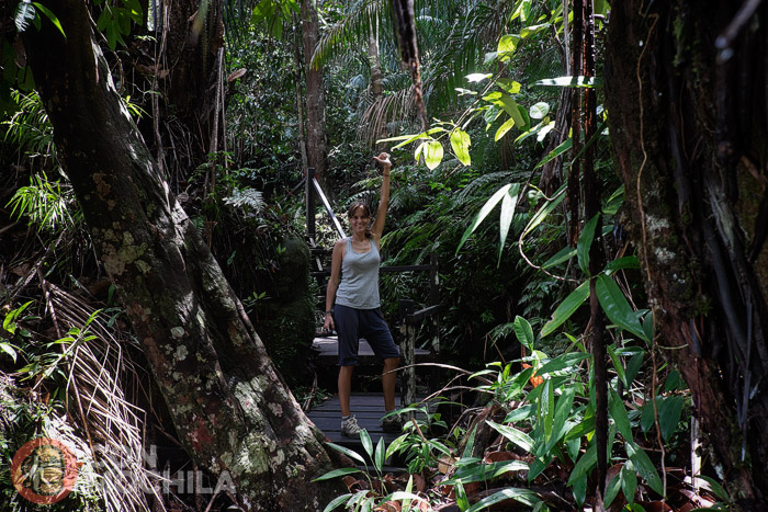 Un poco de jungla