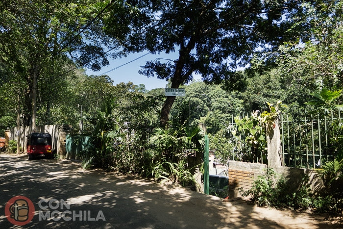 La entrada a Green Woods guesthouse