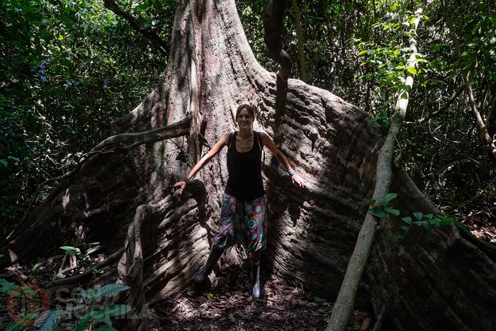Explorando y aprendiendo en la jungla