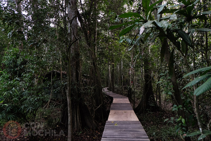 Camino de las duchas