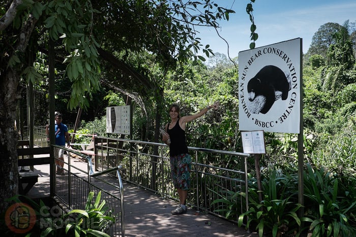 El centro de conservación de los osos