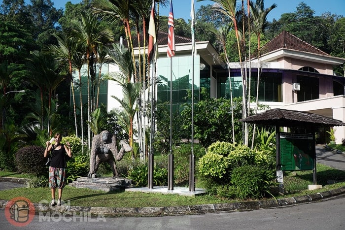 Entrada al Semenggoh Wildlife Centre
