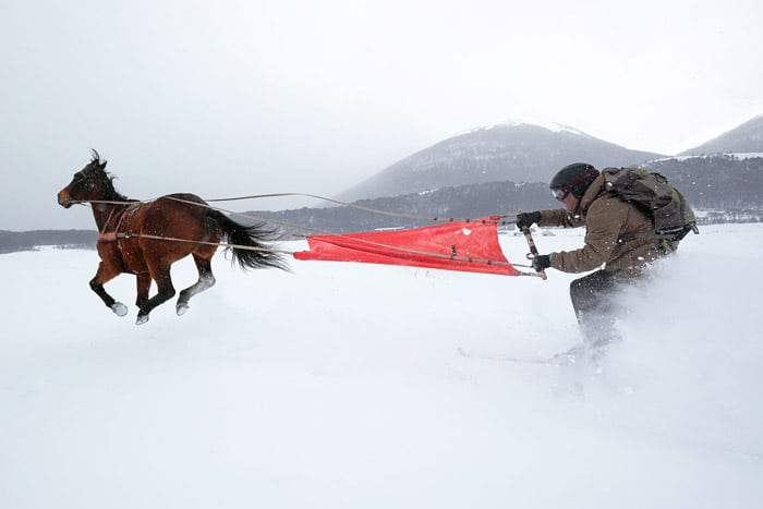 Skijoring