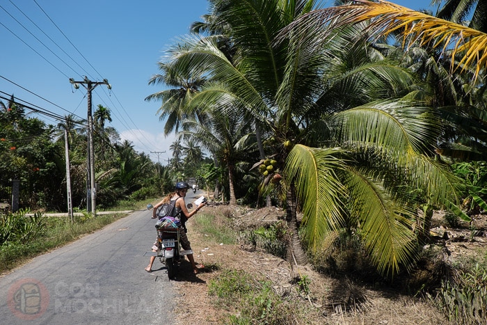 Recorriendo sus caminos