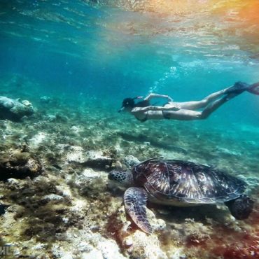 Snorkel en Apo Island (Filipinas)
