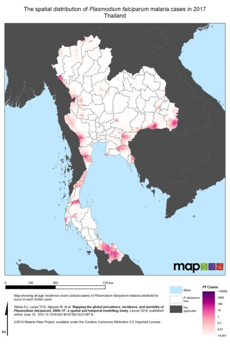 Plasmodium falciparum en Tailandia