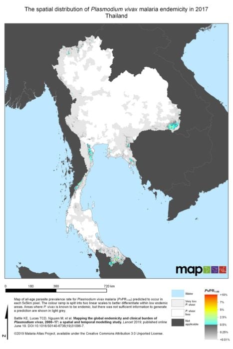 Plasmodium Vivax en Tailandia
