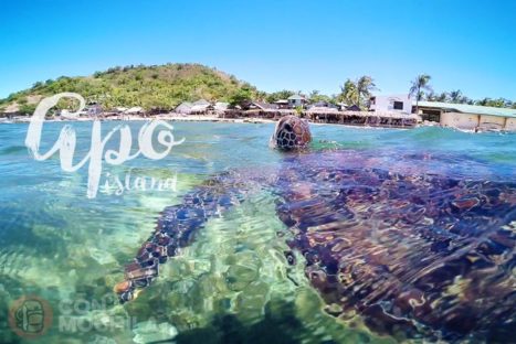 Welcome Apo Island