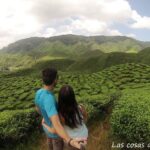 Plantaciones de té en Cameron Highlands