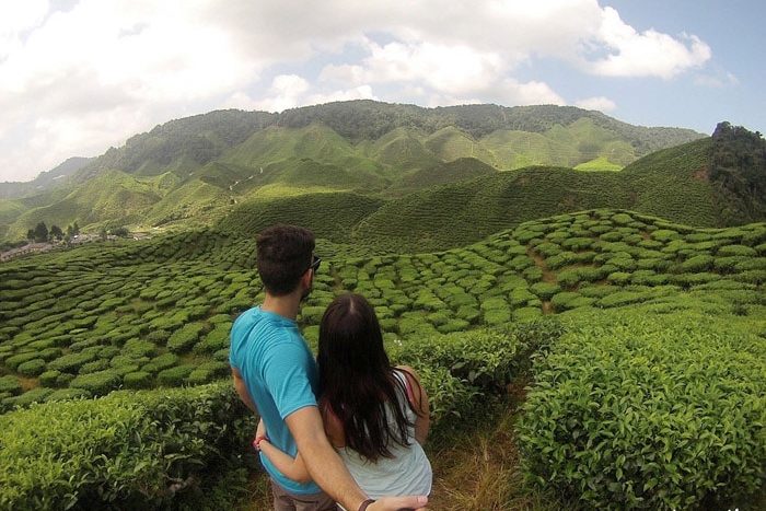 Plantaciones de té en Cameron Highlands