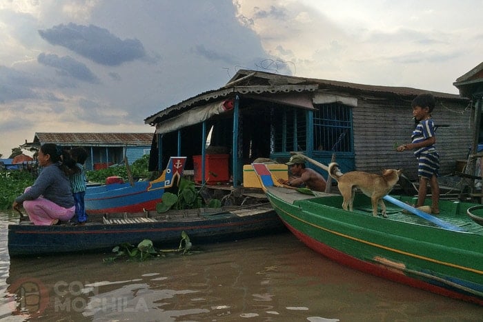 Los animales también viven aquí