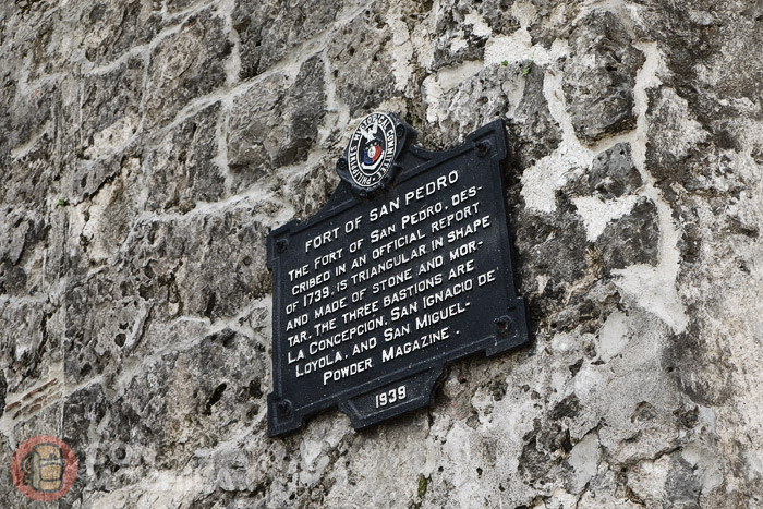 Fuerte de San Pedro