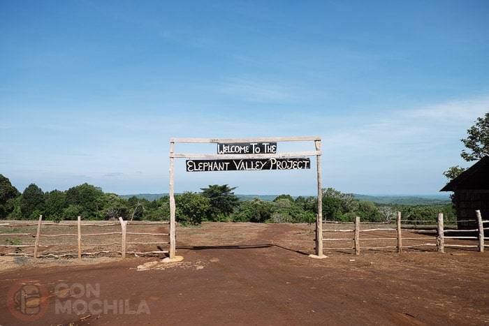 Bienvenidos a Elephant Valley Project