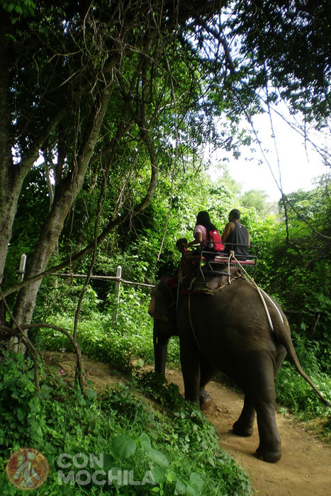 Turistas montando en un elefante @FloriGreen