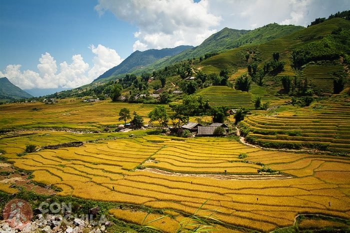 SAPA