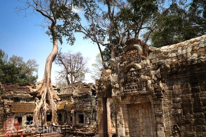 TA-PROHM