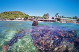 APO ISLAND