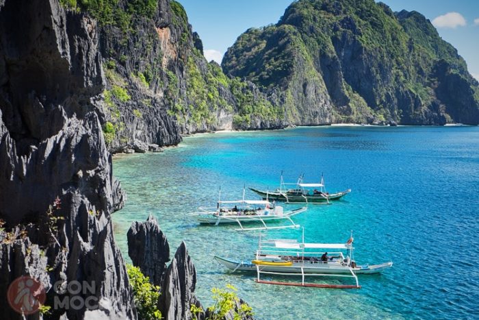 EL NIDO