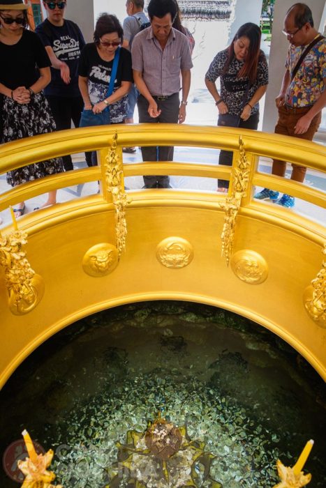 El curioso pozo del templo blanco de Chiang Rai