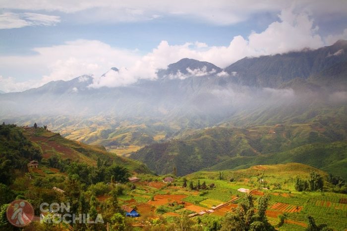 SAPA