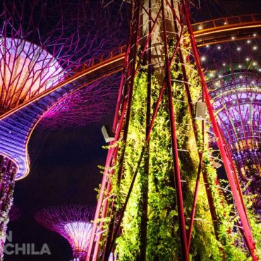 GARDENS BY THE BAY