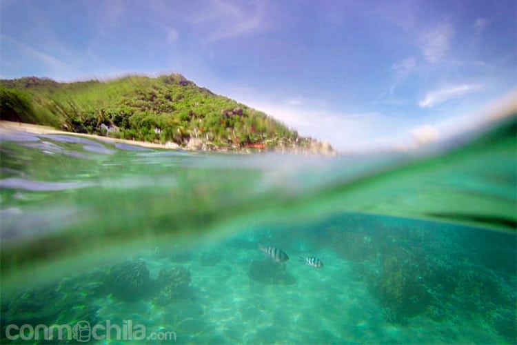 KOH TAO TANOTE BAY 02