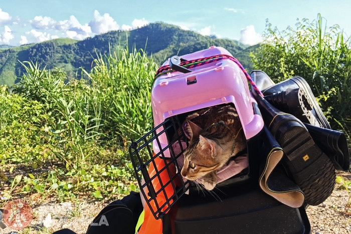 En la ruta en moto por Laos