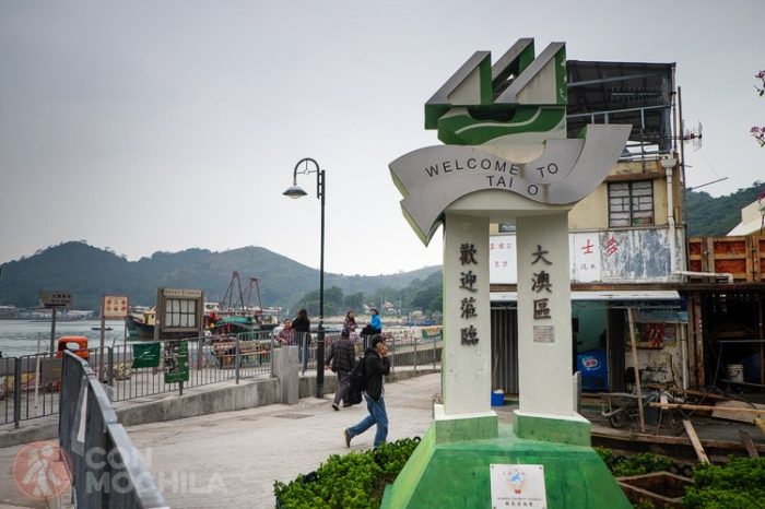 TAI O 01