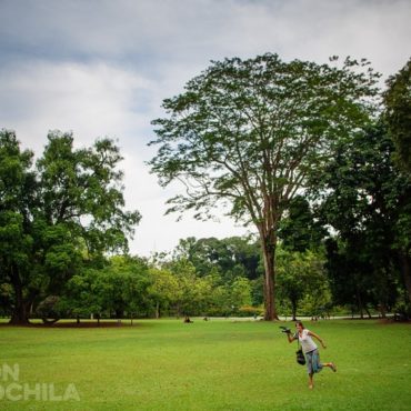 JARDÍN BOTÁNICO DE SINGAPUR
