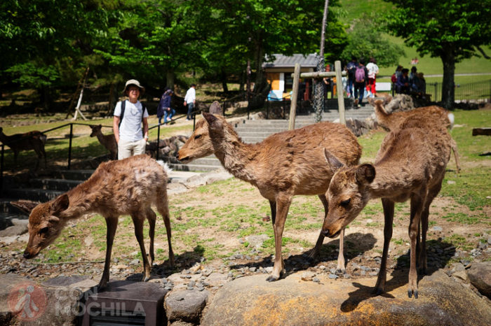 Nara