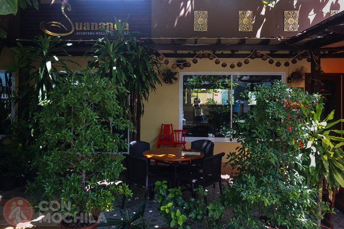 Suananda vegetarian garden