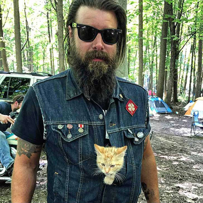 Party cat