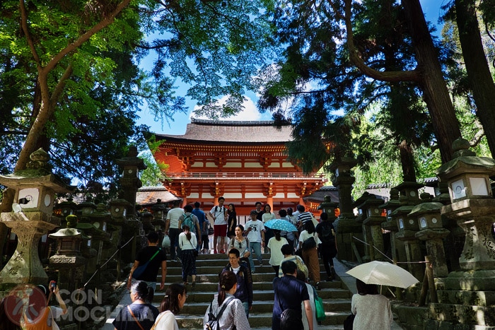 Kasuaga Taisha