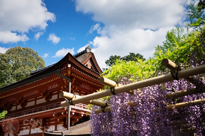 Kasuaga Taisha