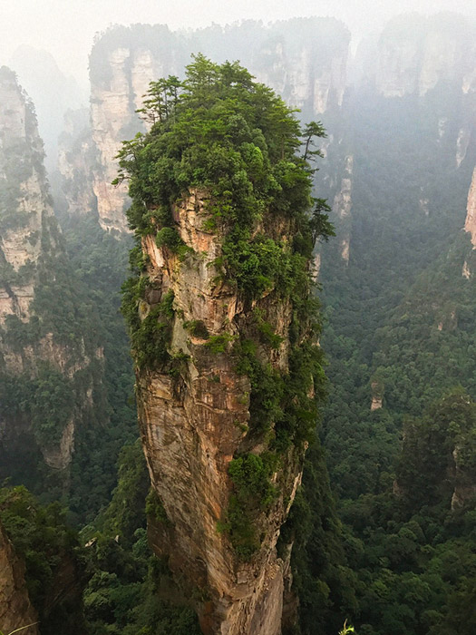 Itinerario de viaje a China: Montaña Aleluya de Avatar, Zhangjiajie