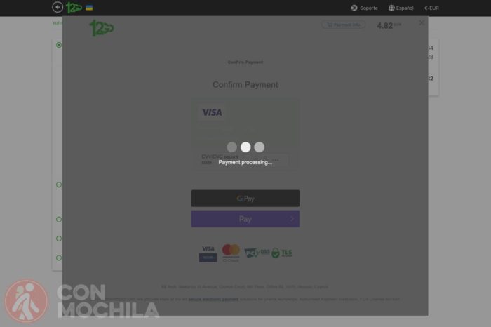 Proceasando el pago