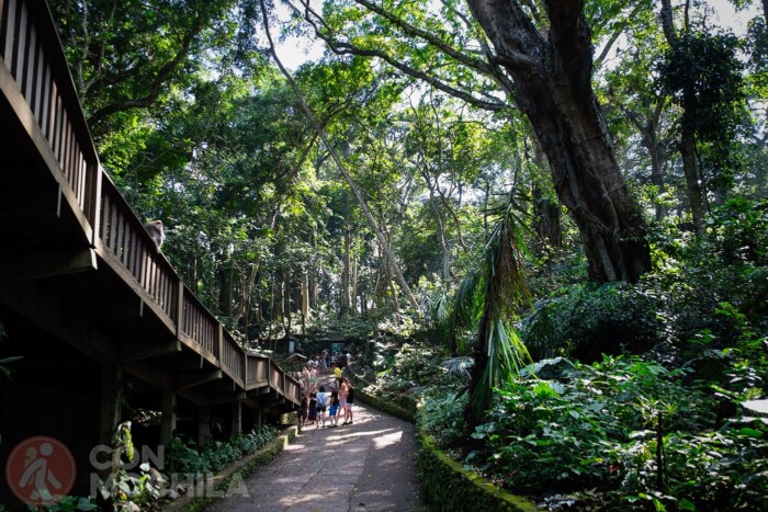 Indonesia vacacional: del surf a las islas sagradas 4 Ubud en Bali