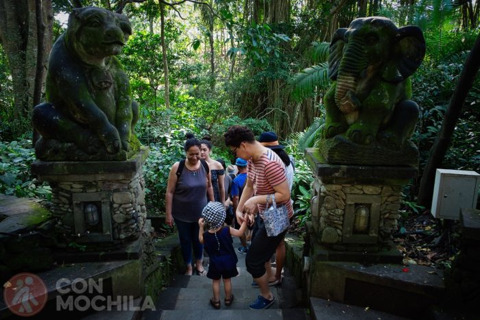 Acceso a distintos niveles del Monkey Forest